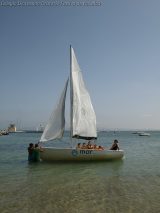 My Gallery (52/205)
